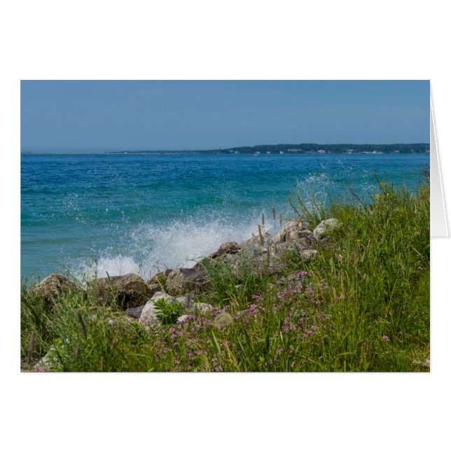 Splashing At Mackinac (Front Horizontal)
