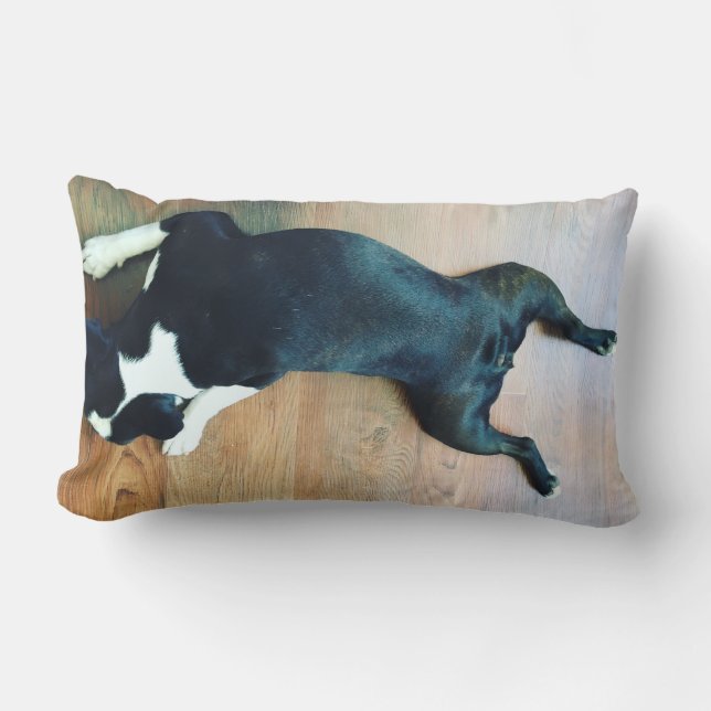 Splat Boston Terrier Lumbar Cushion (Front)