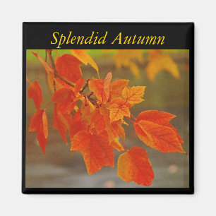 Splendid Autumn Magnet