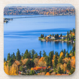Splendid colours of fall at Bellevue Coaster