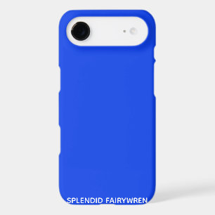 Splendid Fairywren Blue Colour Name