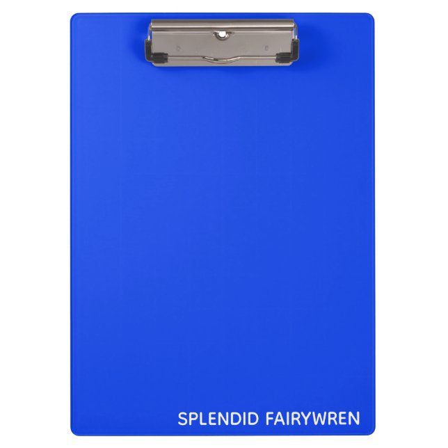 Splendid Fairywren Blue Colour Name Clipboard (Front)