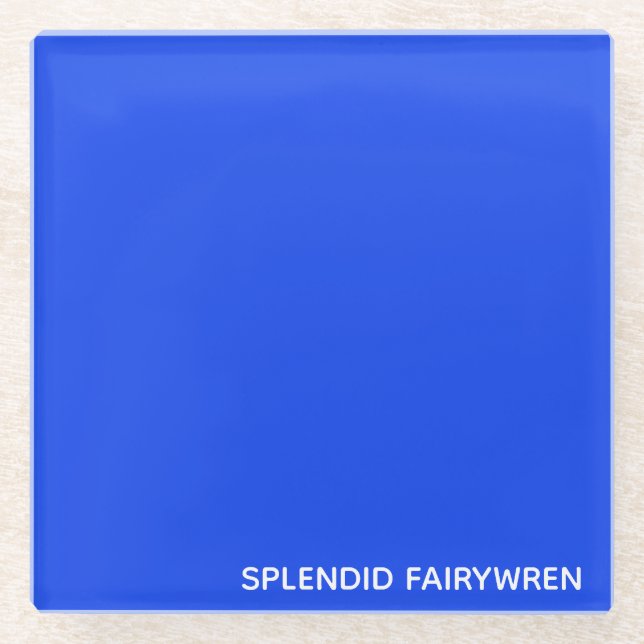Splendid Fairywren Blue Colour Name Glass Coaster (Front)