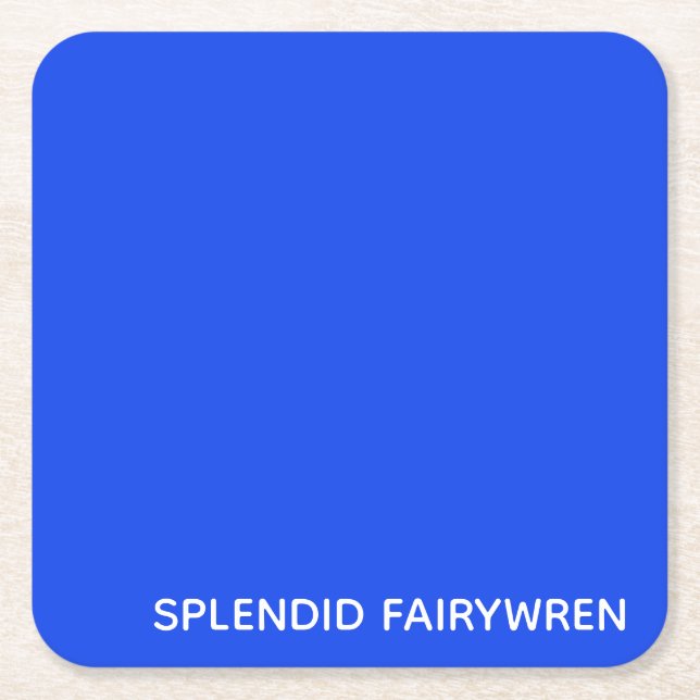 Splendid Fairywren Blue Colour Name Square Paper Coaster (Front)