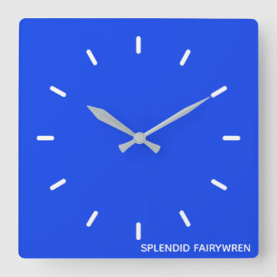 Splendid Fairywren Blue Colour Name Square Wall Clock