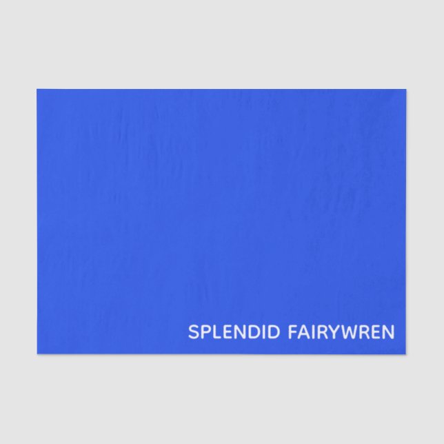Splendid Fairywren Blue Colour Name Tissue Paper (Front)