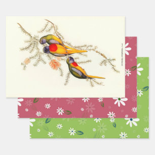 Splendid Grass-Parakeet, Gift  Wrapping Paper Sheet