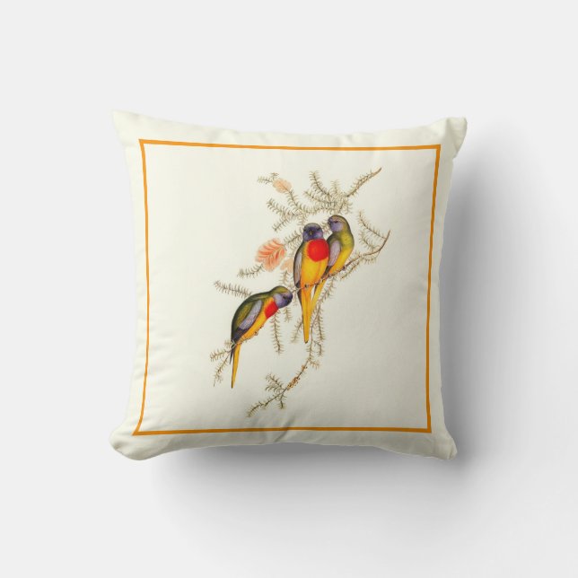 Splendid Grass-Parakeet, Vintage Cushion (Front)