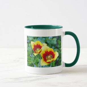 Splendiflorous Wit Mug - Yellow/Red Tulip
