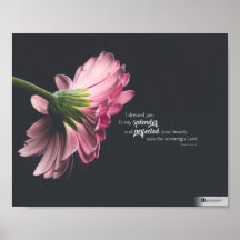 Splendour (Ezekiel 16:14)