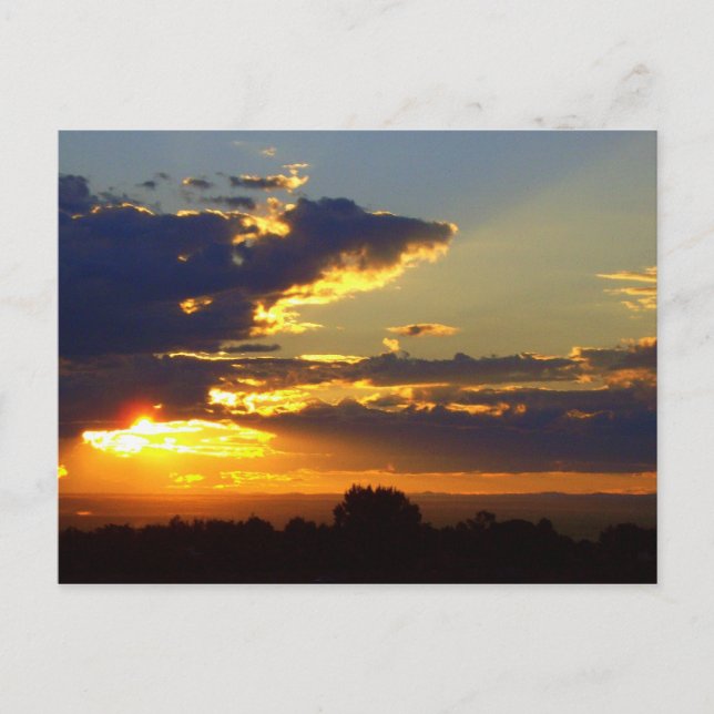 Splendour Postcard (Front)