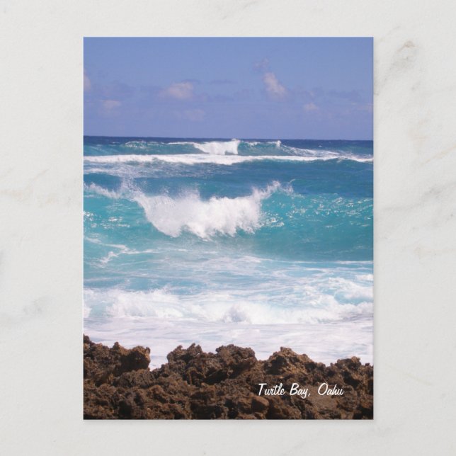 Splish Splash Postcard (Front)