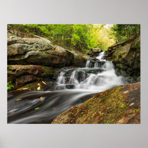 Split Falls on Sand Spring Run Poster