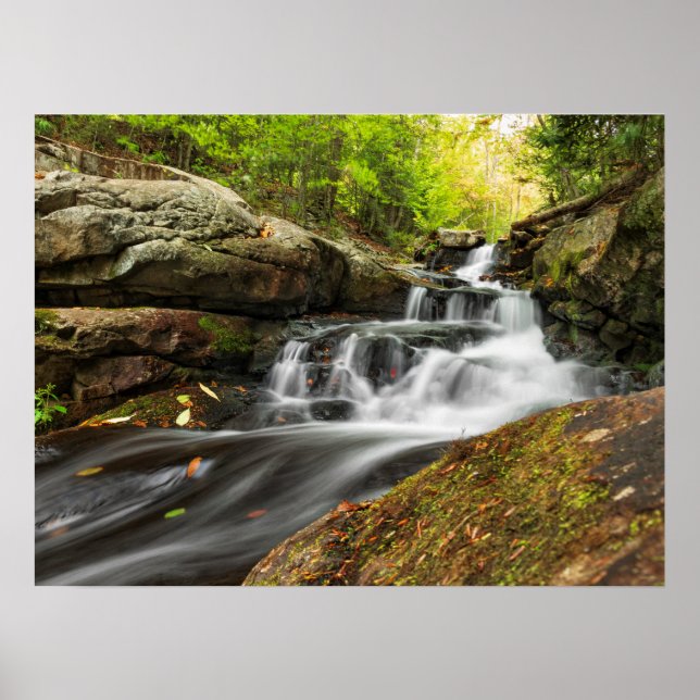 Split Falls on Sand Spring Run Poster (Front)