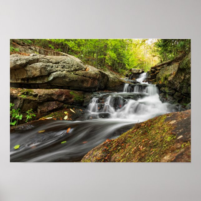 Split Falls on Sand Spring Run Poster (Front)