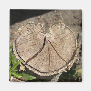 Split Heart Stump Magnets