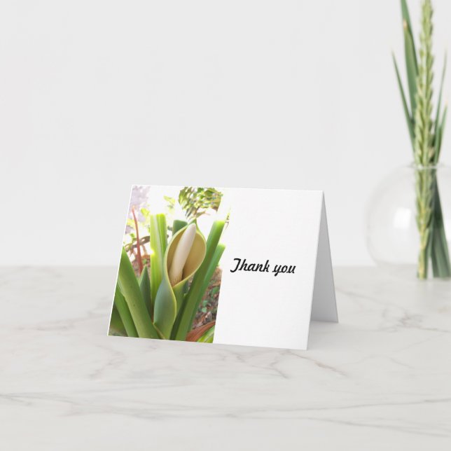 Split Leaf Philodendron on Thank You card (Front)