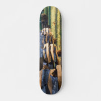 Split Rail Fence