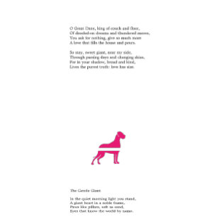 Splitter Great Dane  Flyer