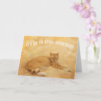 Spoil Yourself Funny Cat Cancer