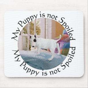 Spoiled? Bull Terrier Puppy . . . Not Mouse Mat