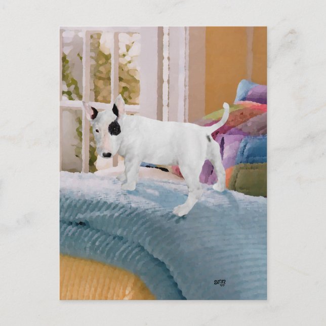 Spoiled? Bull Terrier Puppy . . . Not Postcard (Front)