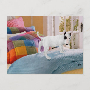 Spoiled? Bull Terrier Puppy . . . Not Postcard