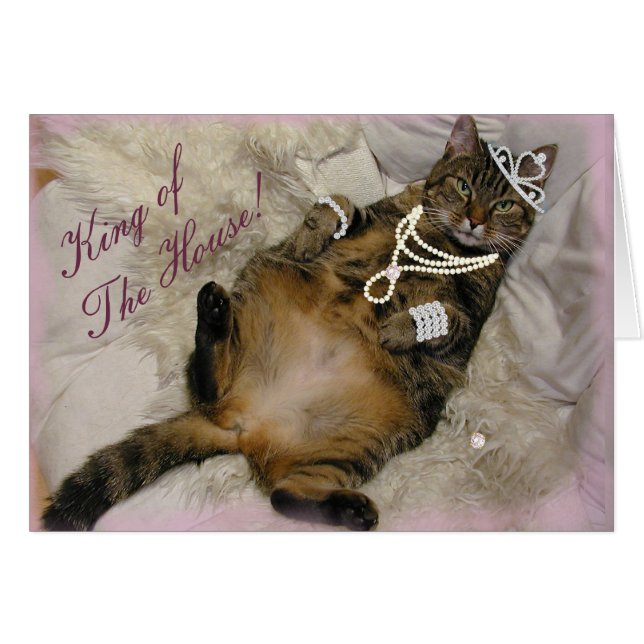 SPOILED PRINCESS CAT LAYING ON BACK (Front Horizontal)