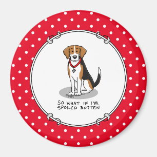 Spoiled Rotten Beagle (tri color 3) Dog Funny Magnet