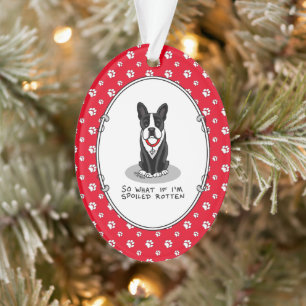 Spoiled Rotten Boston Terrier (black) Cute dog Ornament