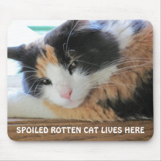 Spoiled rotten cat lives here mouse mat