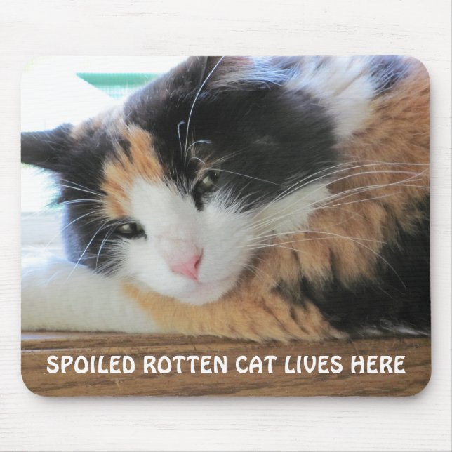 Spoiled rotten cat lives here mouse mat (Front)