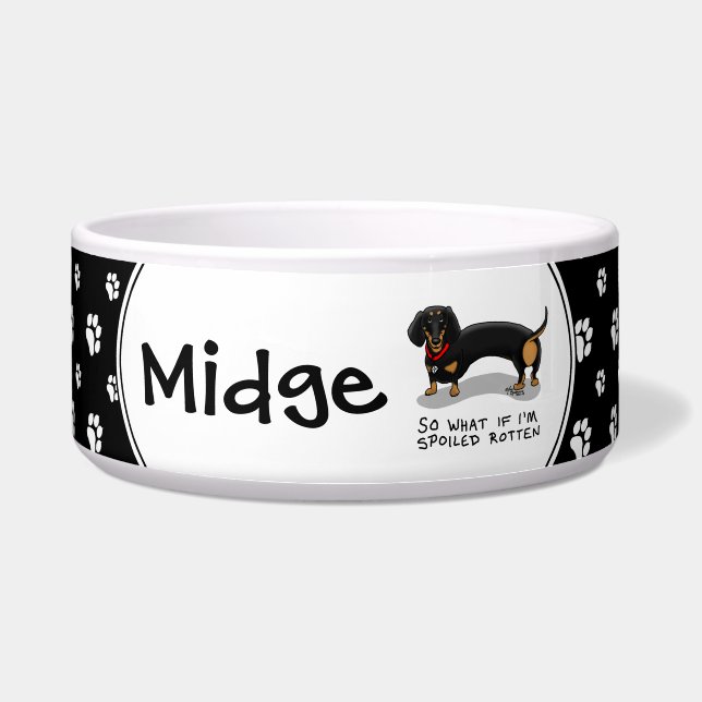 Spoiled Rotten Dachshund (S black & tan) Cute dog (Front)