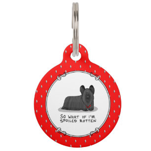 Spoiled Rotten Skye Terrier Dog (black) Cute Funny Pet Tag