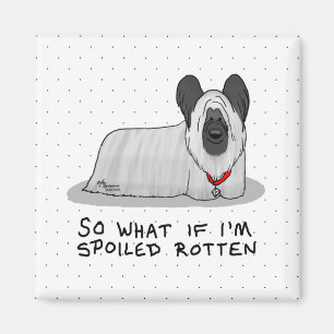 Spoiled Rotten Skye Terrier Dog (silver) Cute Fun Magnet