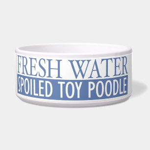 spoiled toy poodle