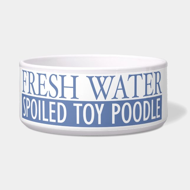 spoiled toy poodle (Front)