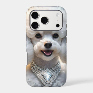 Spoiled White Poodle Wearing A Diamond Collar,