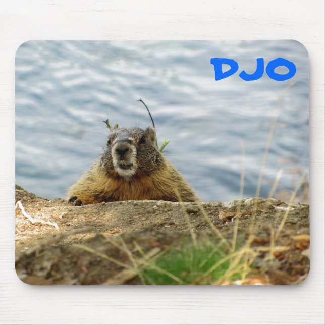 Spokane Marmot says, "Sup? Got a carrot?" Mouse Mat (Front)