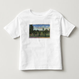 Spokane, Washington - Upper Terrace Toddler T-Shirt