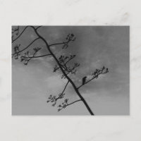 Spooky Bird on Limb Silhouette Black and White