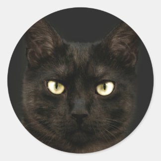 Spooky black cat classic round sticker