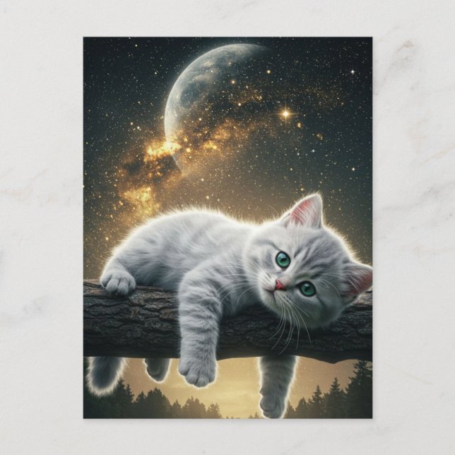 Spooky Black Cat Halloween Wallpaper — 2025 Night! Holiday Postcard (Front)