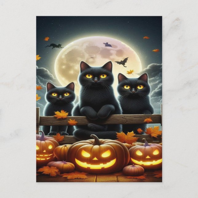 Spooky Black Cat Halloween Wallpaper — 2025 Night! Holiday Postcard (Front)