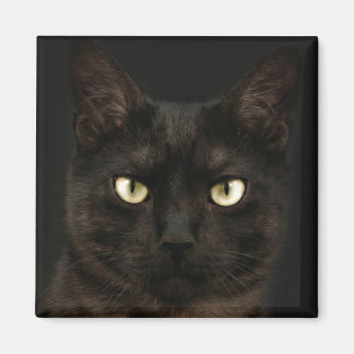 Spooky black cat magnet