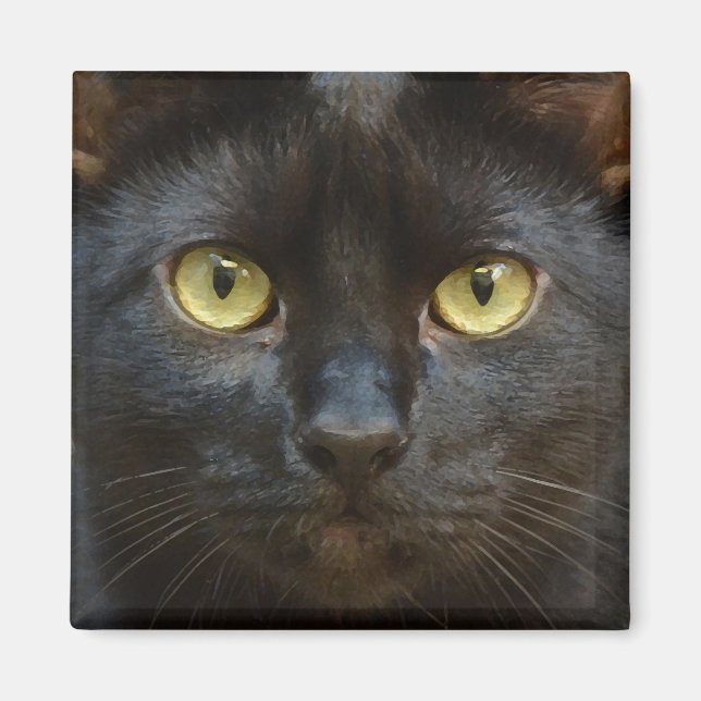 Spooky black cat magnet (Front)
