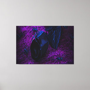 Spooky Black Material Rose, Black Spiders Canvas Print