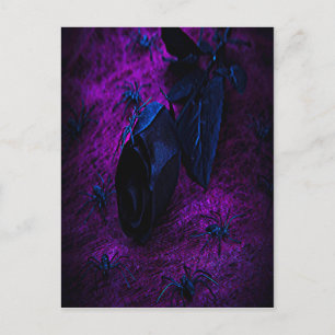 Spooky Black Material Rose, Black Spiders Postcard
