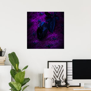 Spooky Black Material Rose, Black Spiders Poster
