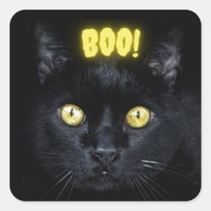 Spooky Boo Black Cat Halloween Square Sticker